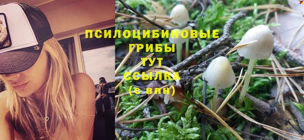 тгк Армянск