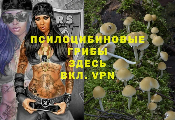 MESCALINE Аркадак