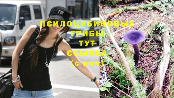 MESCALINE Аркадак