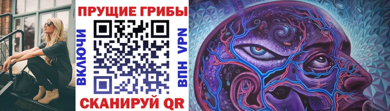 Галлюциногенные грибы Magic Shrooms Купить Спасск-Рязанский